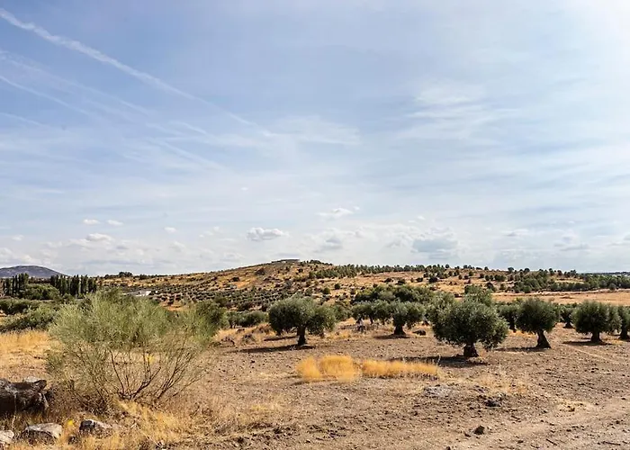Casa Palacio Puy Du Palacete * 托萊多
