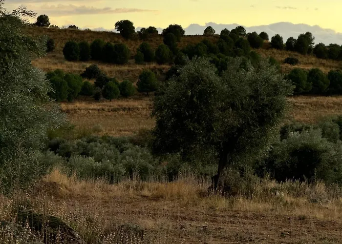 Casa Palacio Puy Du Palacete Villa *
