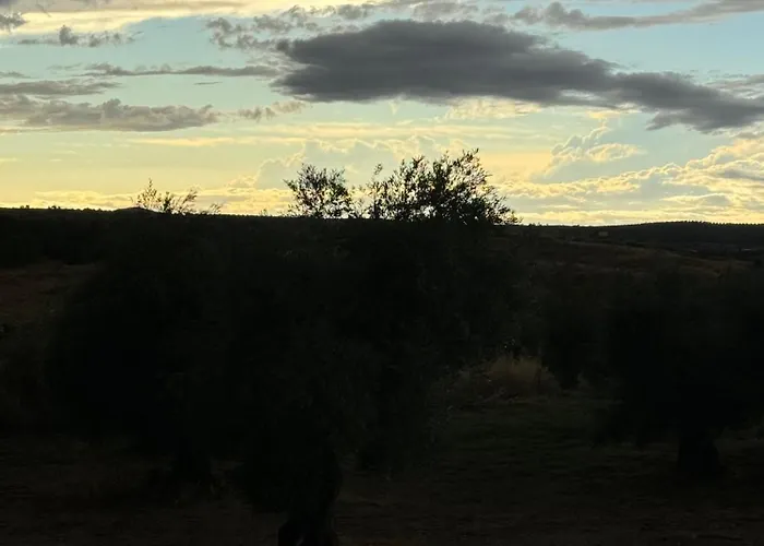 Casa Palacio Puy Du Palacete *